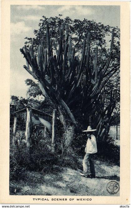 PC MEXICO, TYPICAL SCENES OF MEXICO, (b21963)