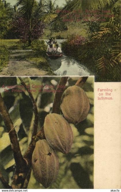 PC NICARAGUA, BLUEFIELD, PORT SCENE, Vintage Postcard (b22242)