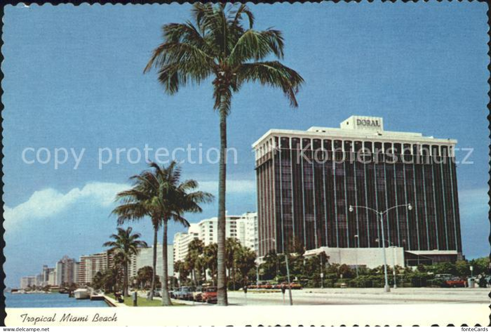 Miami Beach Tropical Miami Beach Doral Hotel Indian Creek