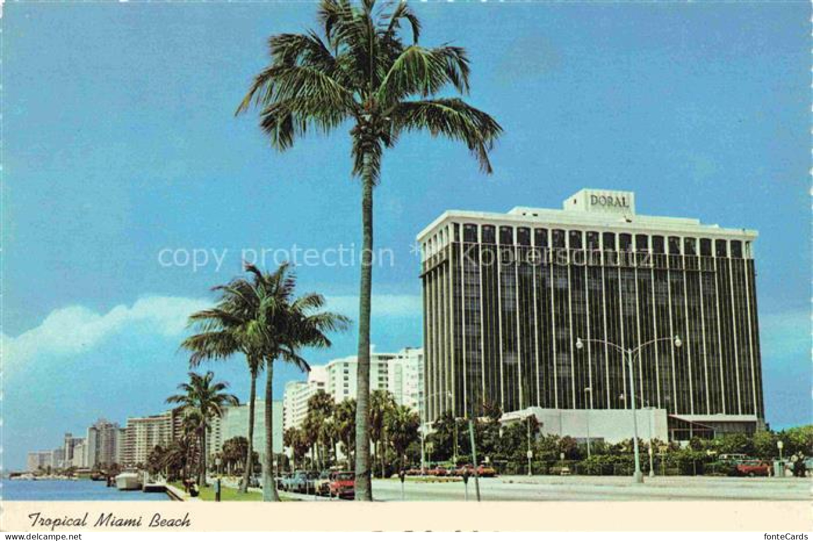 MIAMI  Florida USA Tropical Miami Beach