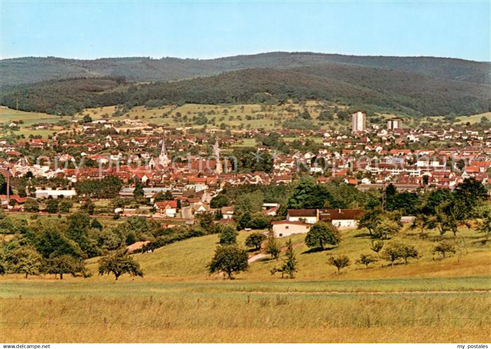 Michelstadt Panorama