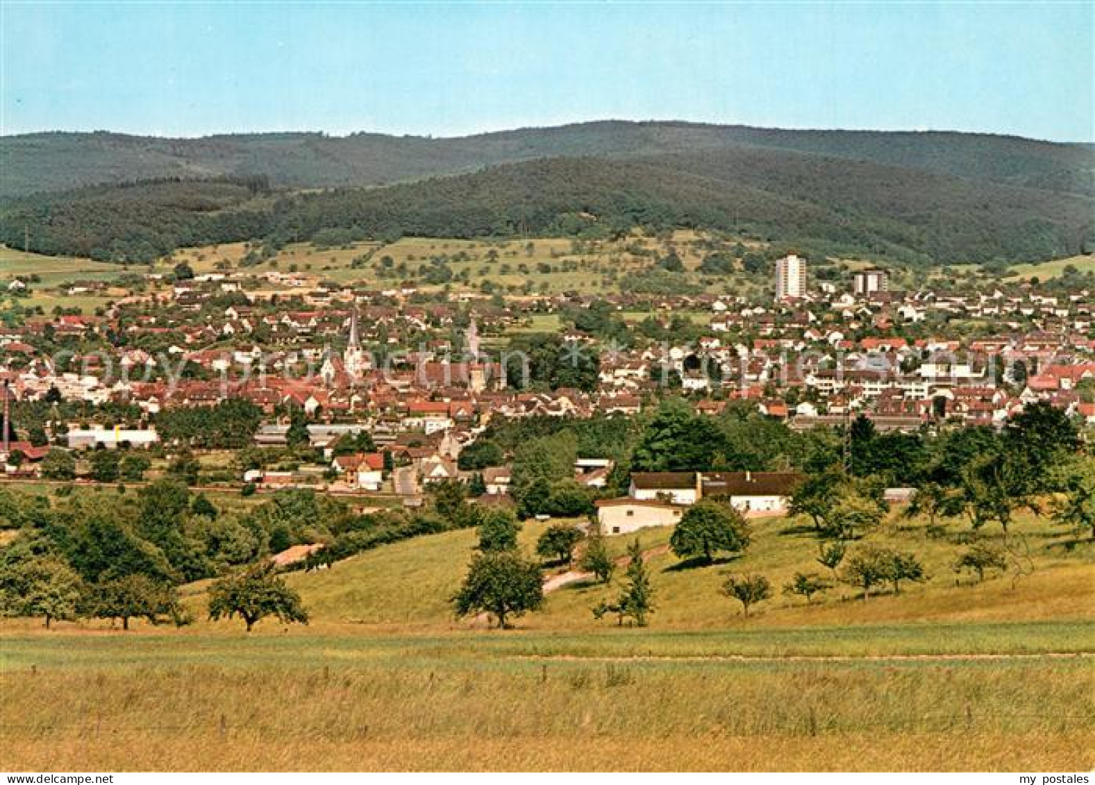 Michelstadt Panorama
