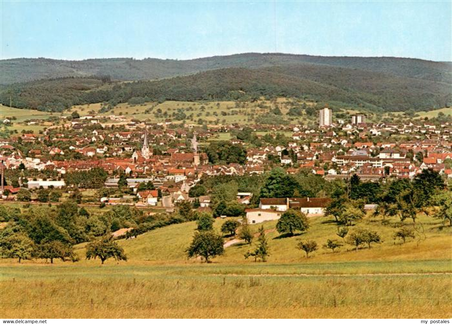 Michelstadt Panorama