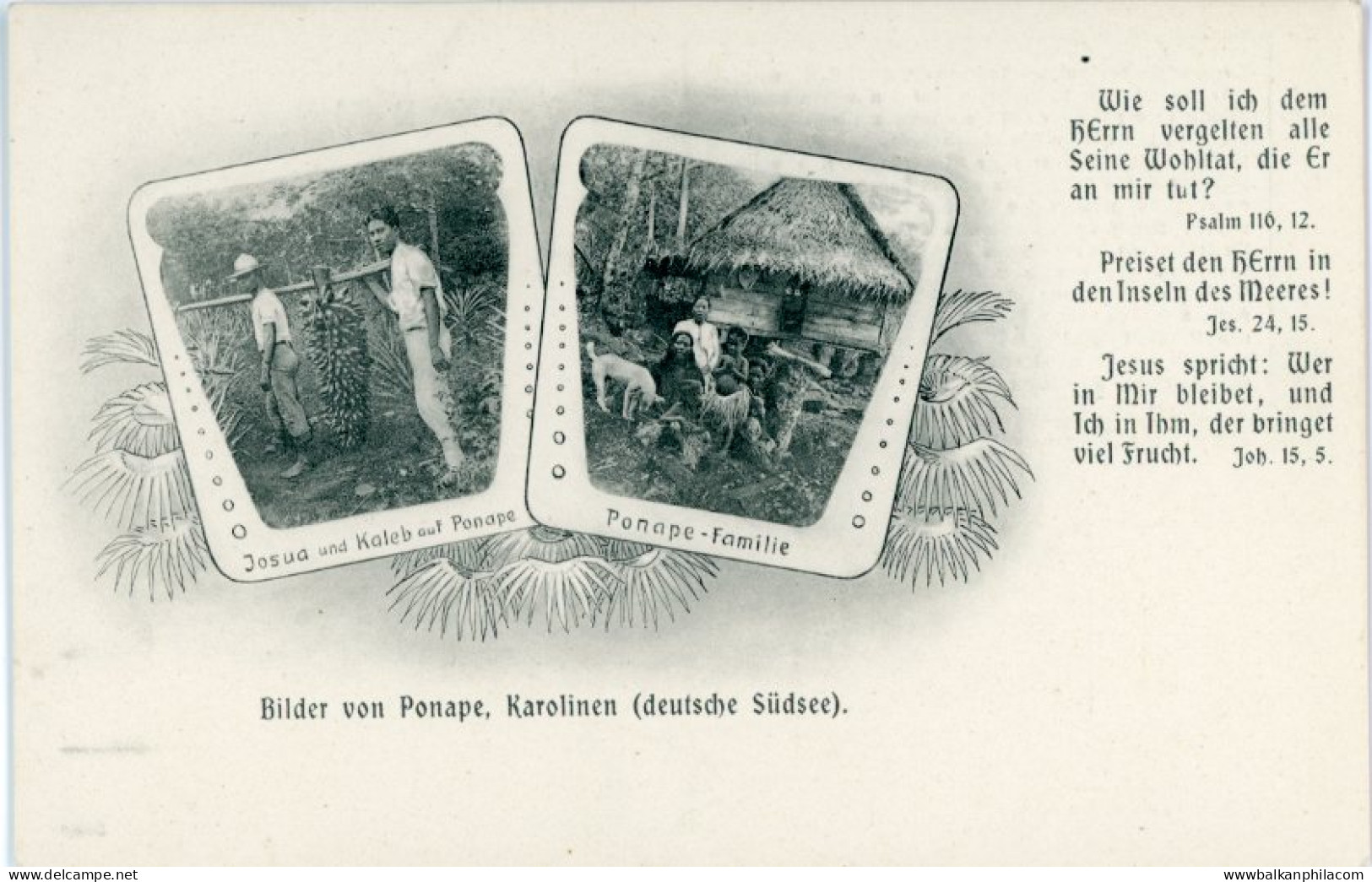 Micronesia Caroline Island Pohnpei