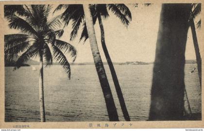 Caroline Islands, Yap Island, View between Palm Tree (1910s) Micronesia Postcard