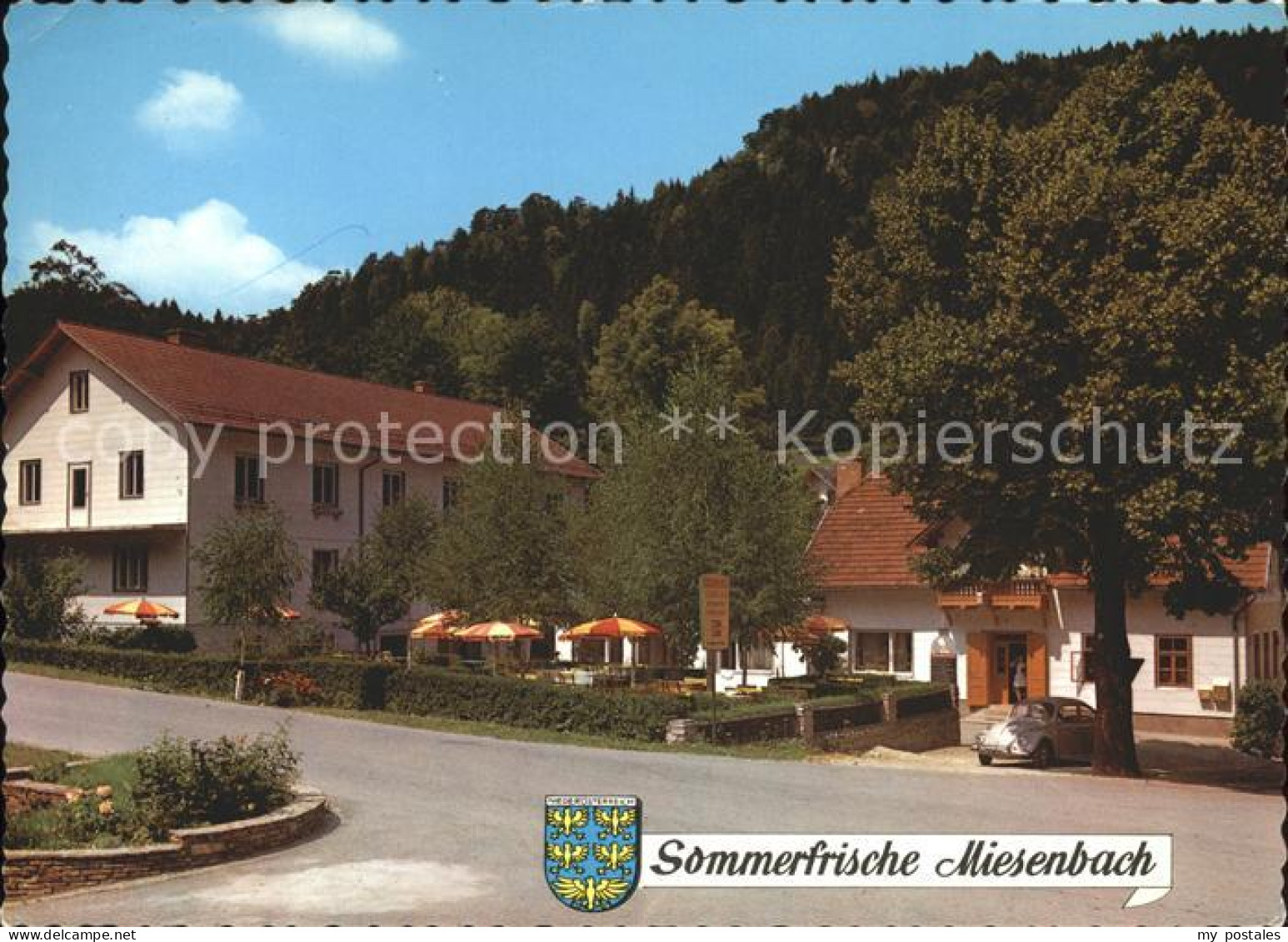 Miesenbach Birkfeld Gasthof zum gruenen Baum