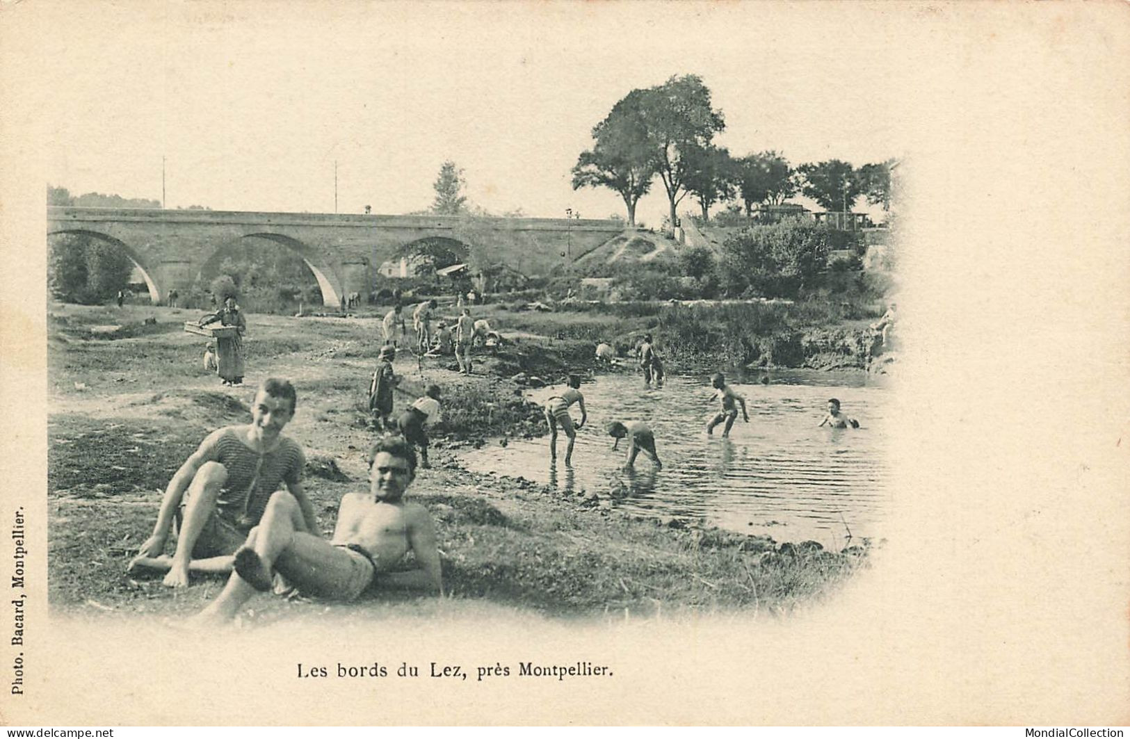 MIKII-0781 34 CASTELNAU LE LEZ LES BORDS DU LEZ BAIGNEURS