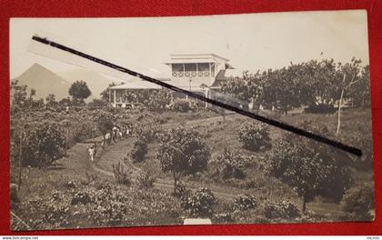 CPA rétrécie - Océanie - Ponape à confirmer