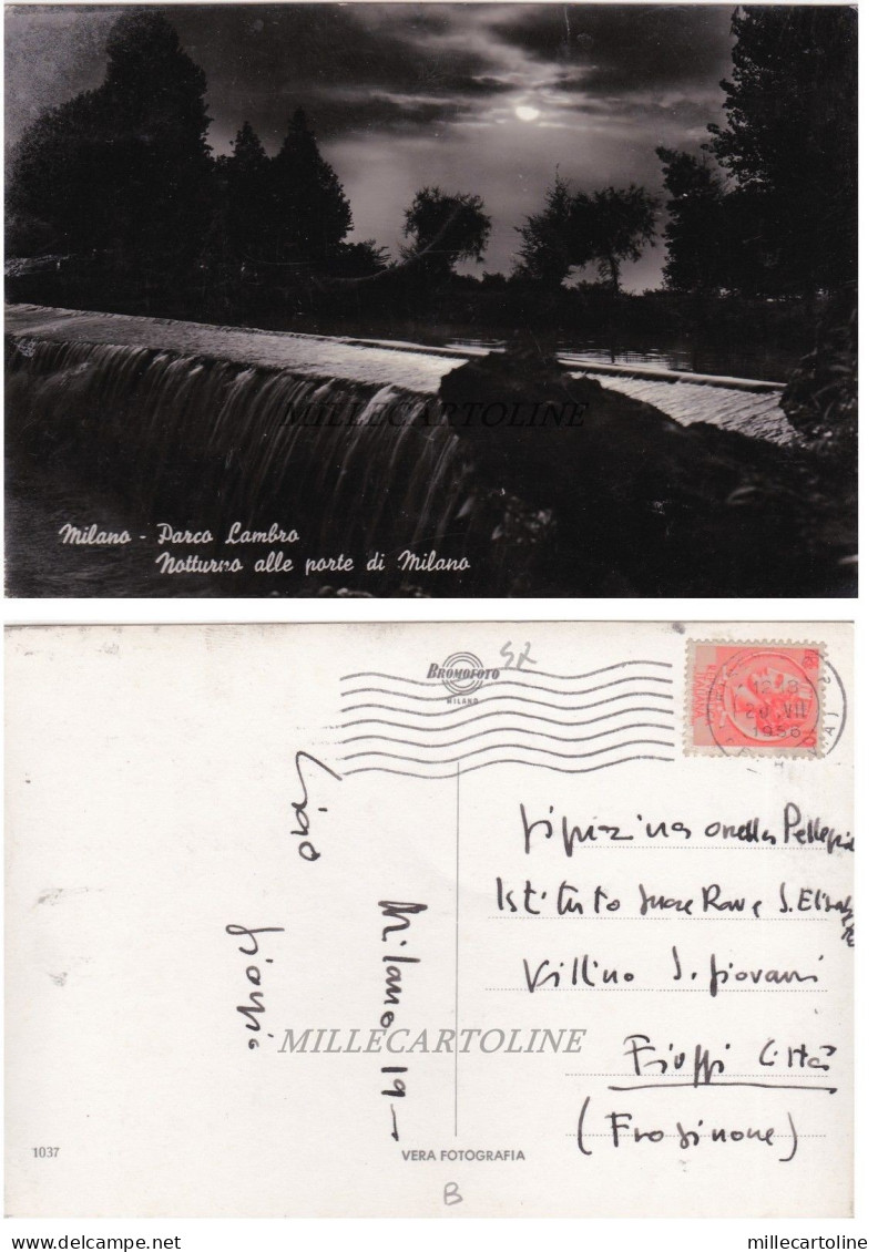 MILANO: Parco Lambro - notturno alle porte di Milano    1956