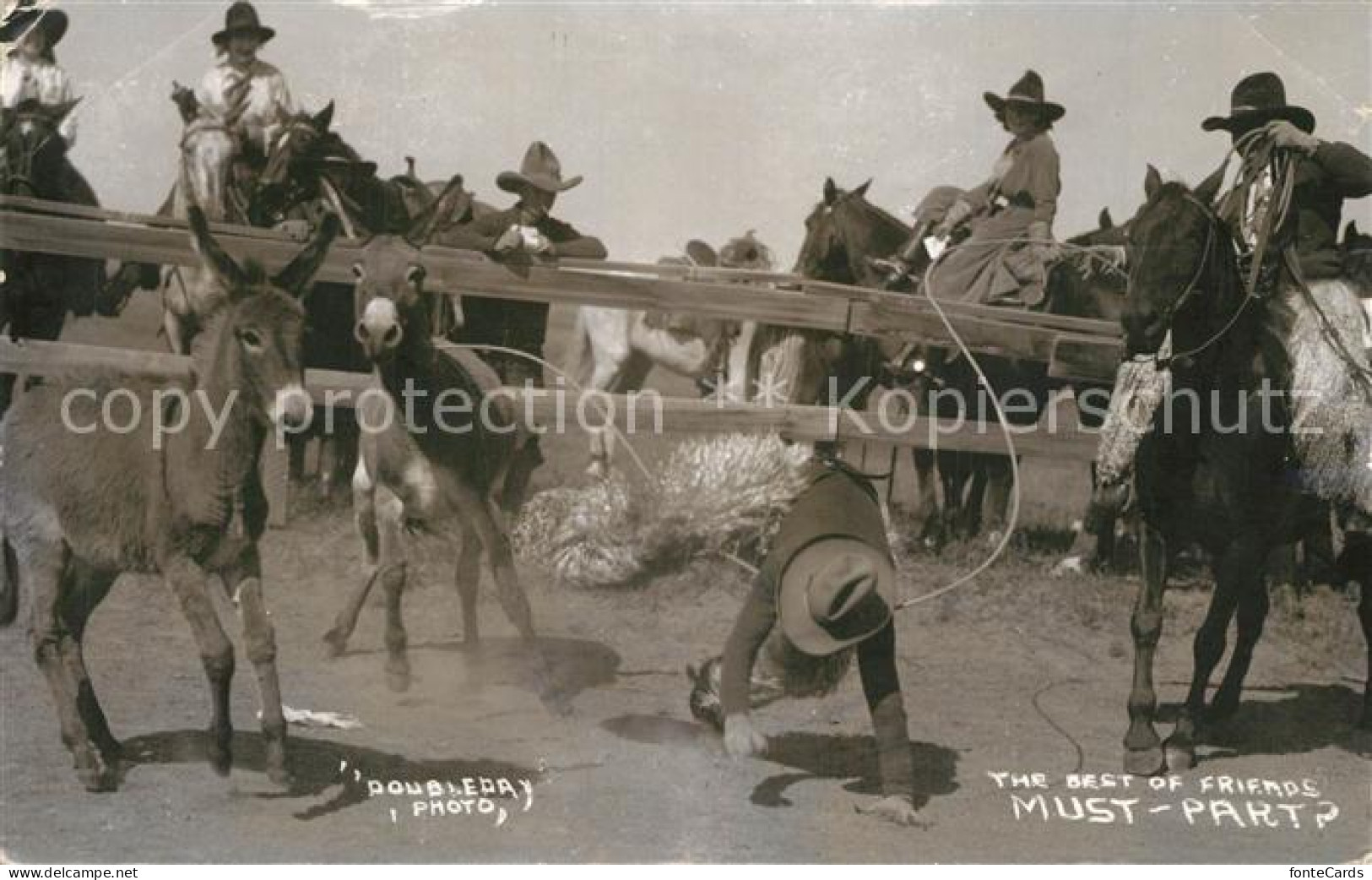 Miles City Esel Rodeo-Reiter