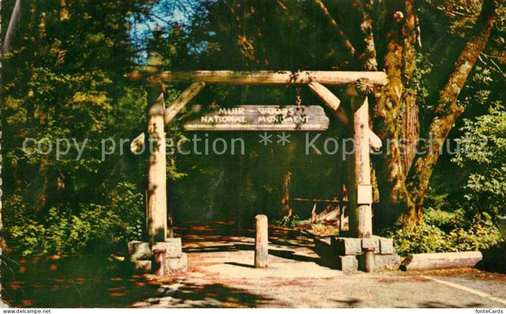 Mill Valley Gateway to Muir Woods National Monument