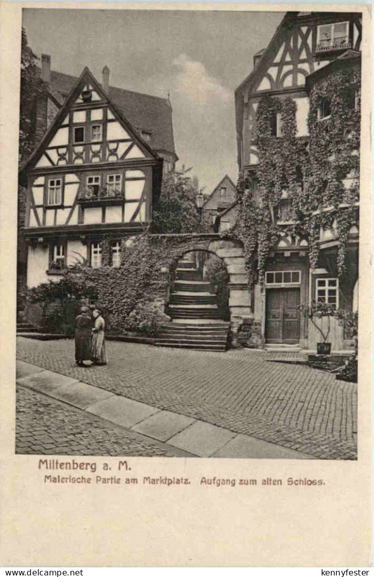 Miltenberg am Main, Partie am Marktplatz, Aufgang zum alten Schloss