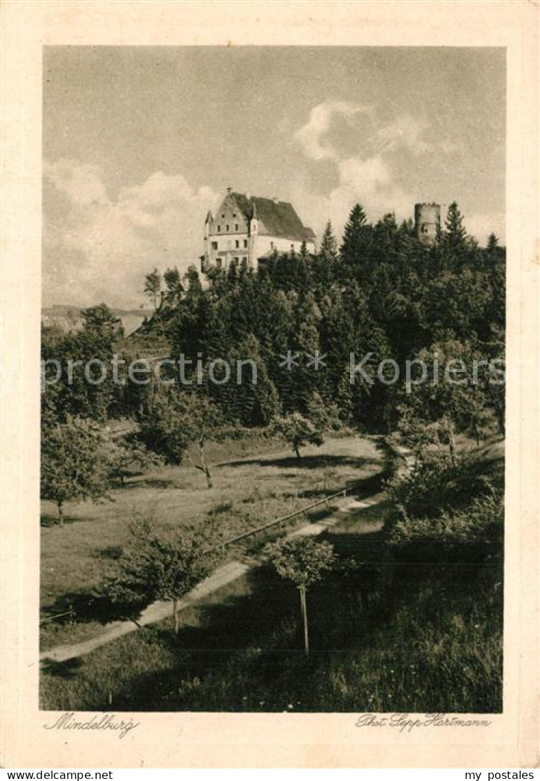 Mindelheim Die Mindelburg