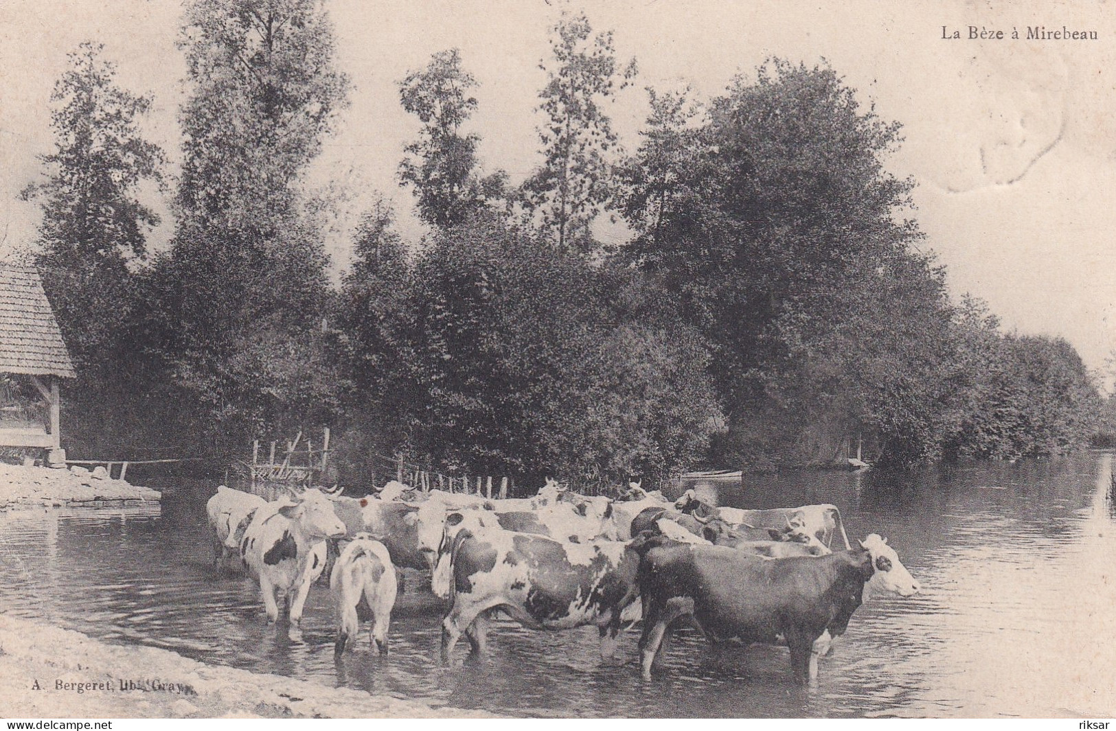 MIREBEAU(VACHE)