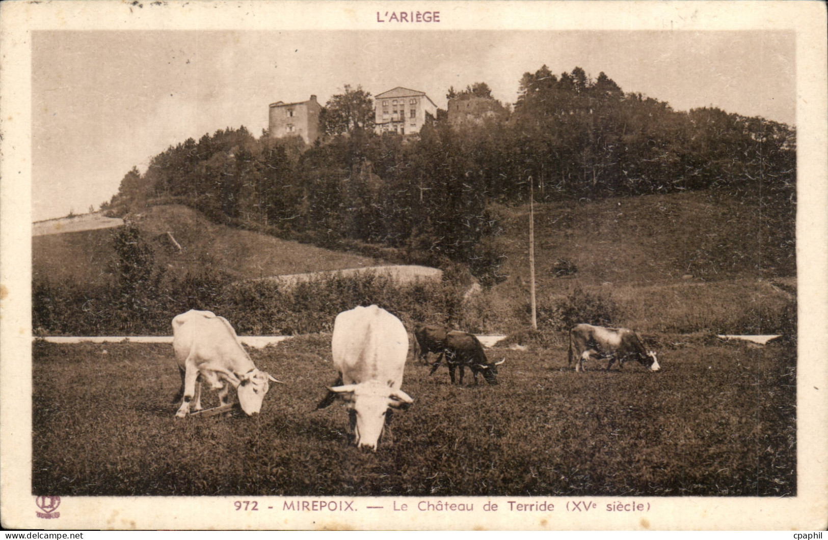 Mirepoix CPA Le chateau de Terride (15eme)