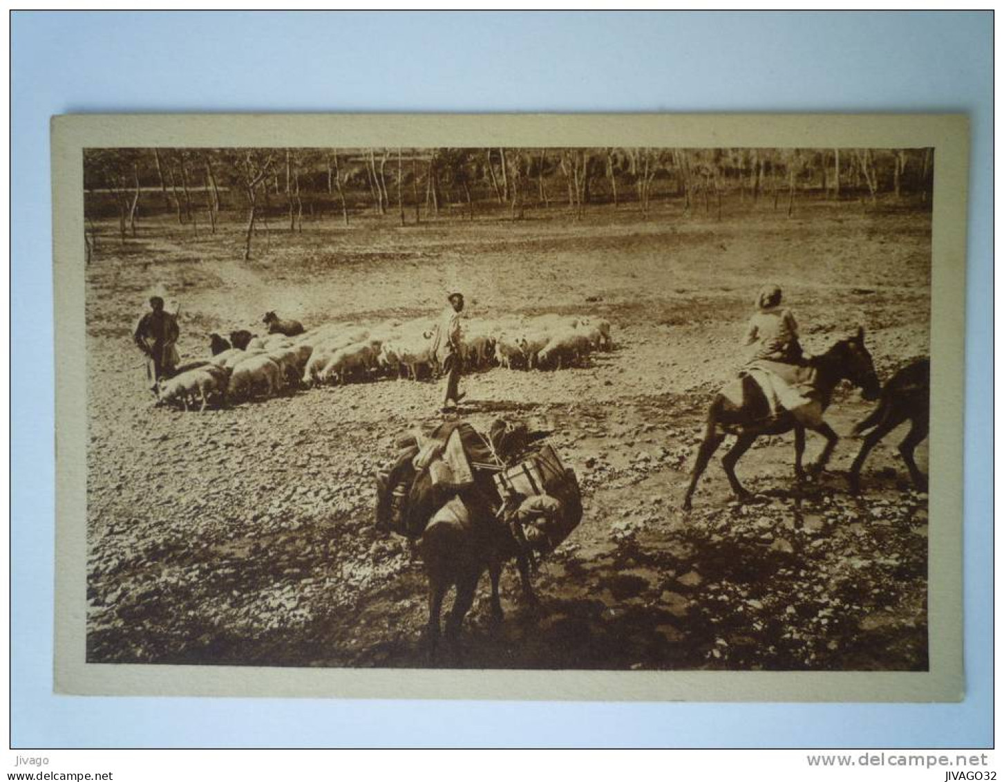 Missionnaire dans les  STEPPES  de la  MONGOLIE