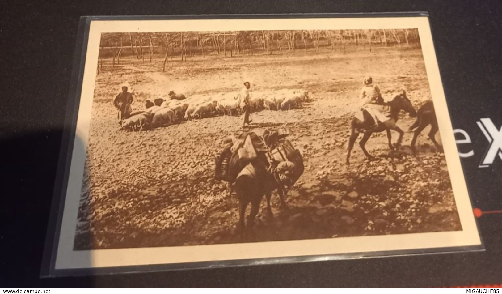 missionnaire dans les steppes de la Mongolie