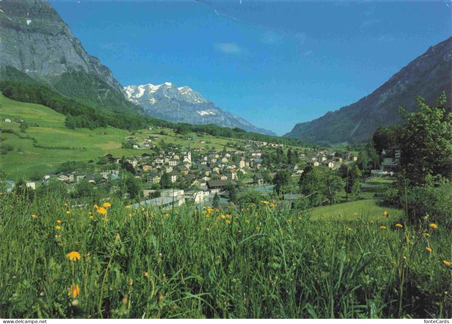 Mitloedi Panorama