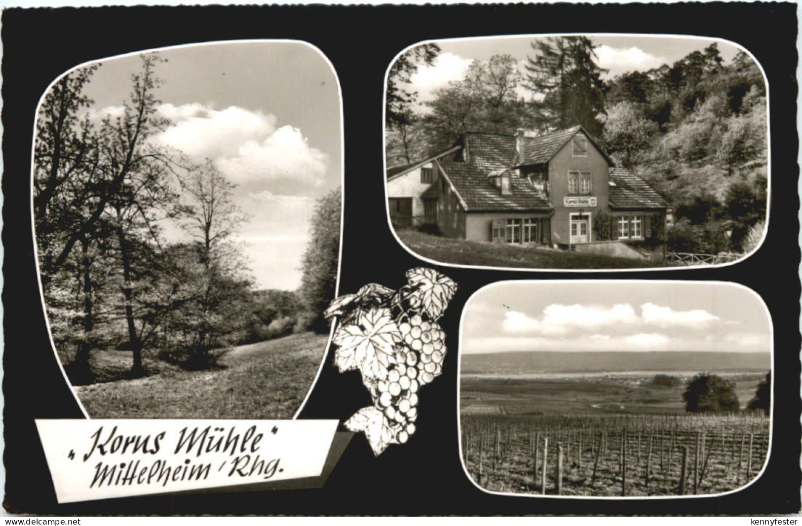 Mittelheim Rheingau - Korus Mühle
