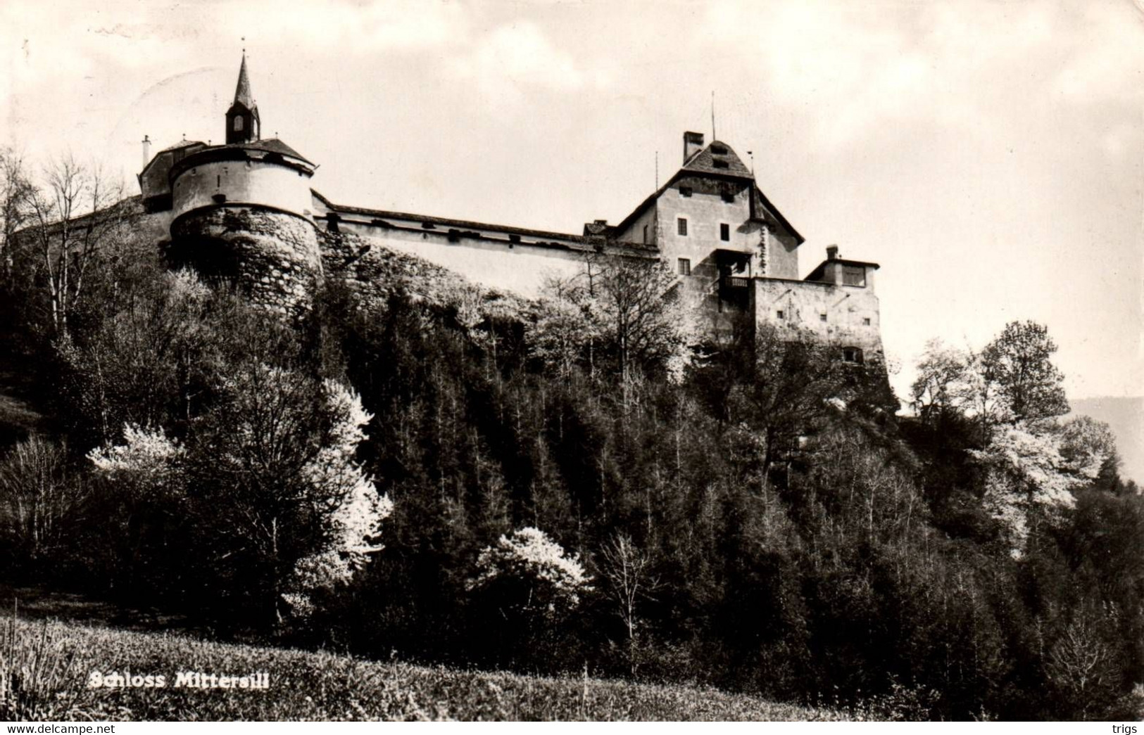 Mittersill - Schloß