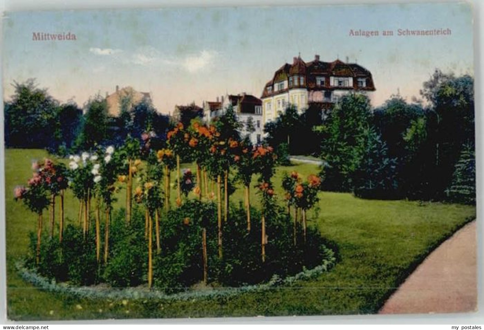 Mittweida Schwanenteich