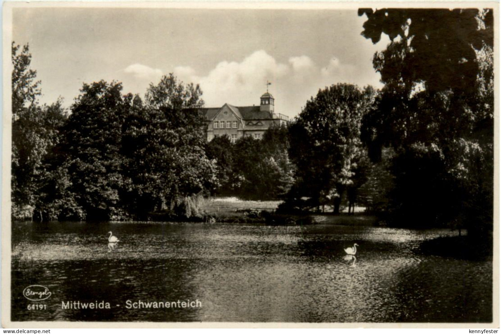 Mittweida, Schwanenteich