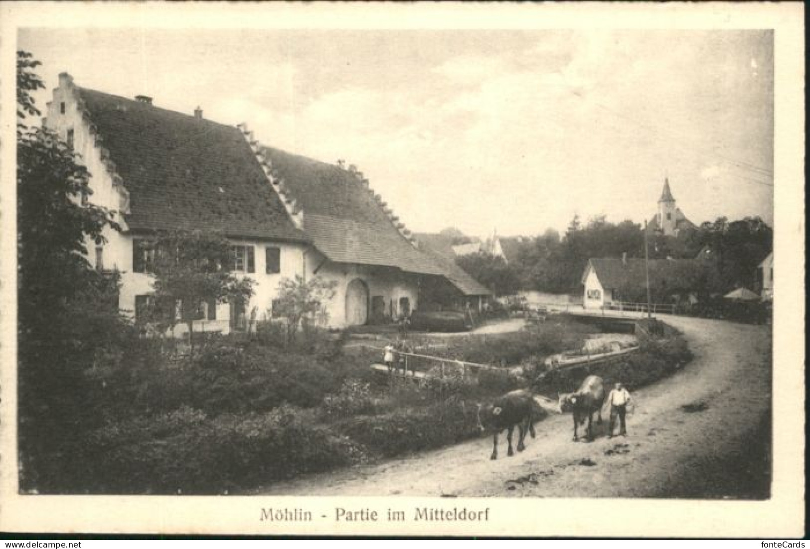 Moehlin itteldorf Kuehe *