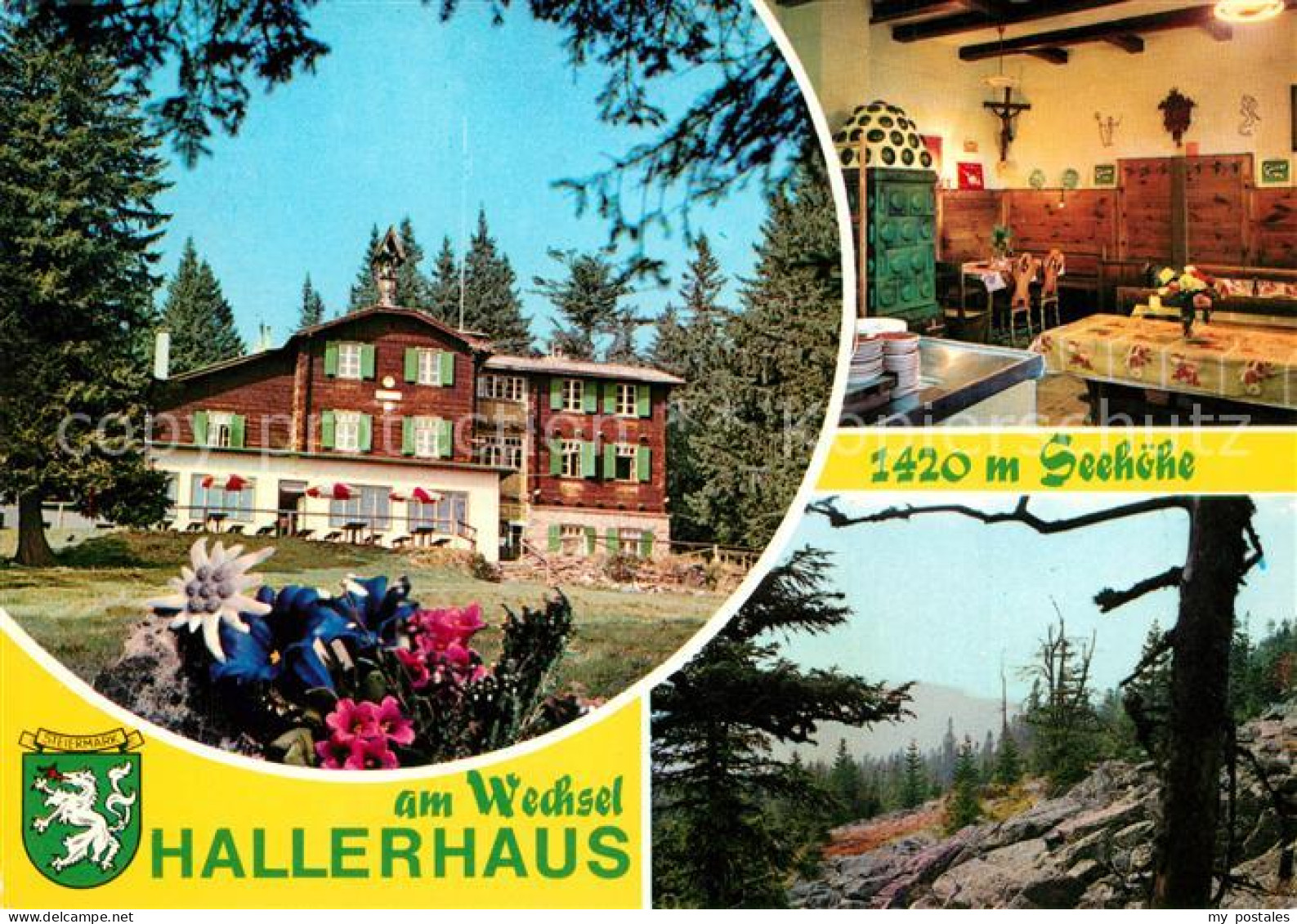 Moenichkirchen am Wechsel Niederoesterreich AT  Hallerhaus am Wechsel