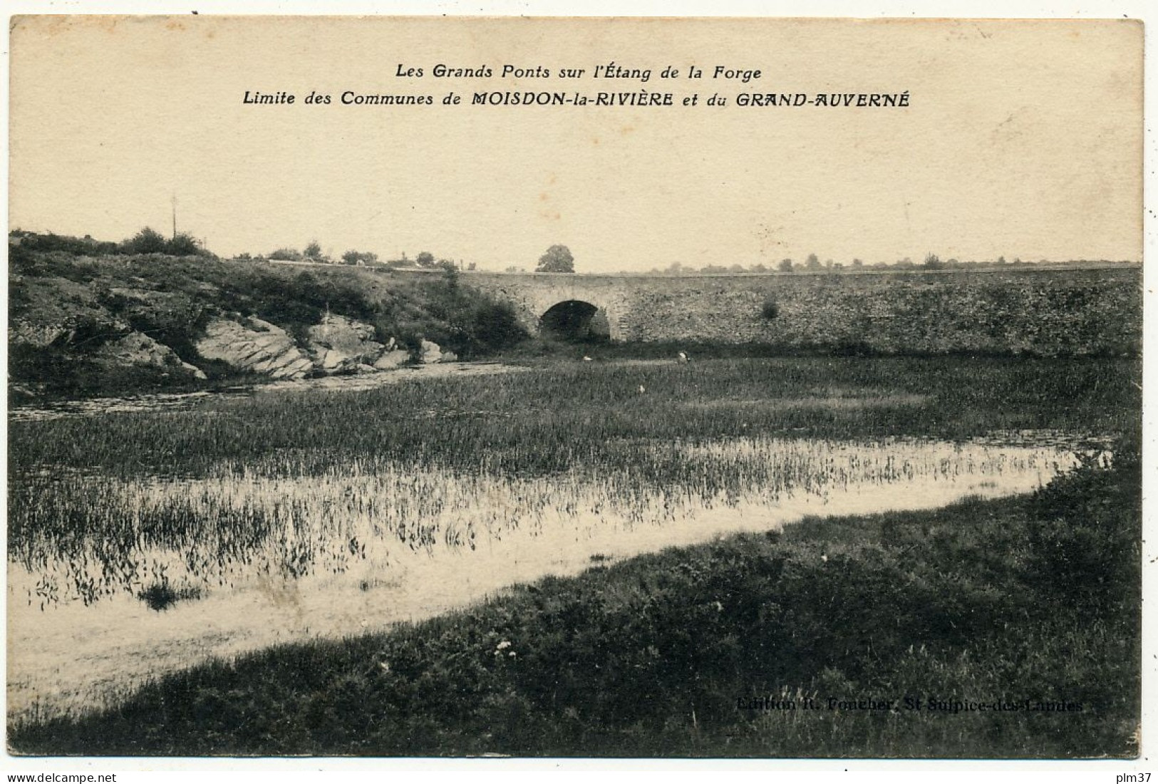 MOISDON LA RIVIERE, GRAND AUVERNE - Limite des Communes
