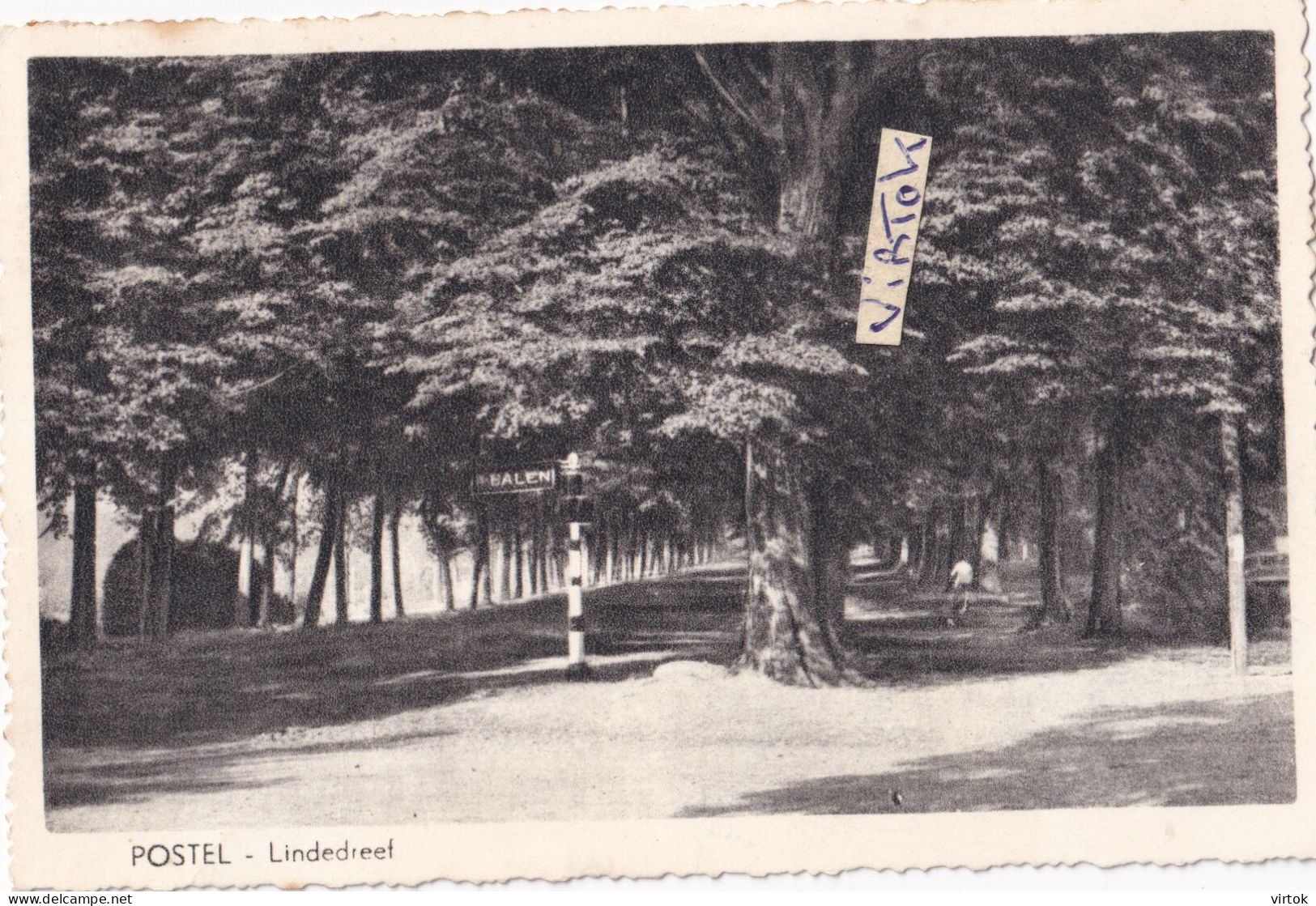 Mol  :  POSTEL :  lindedreef