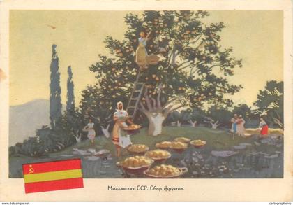 A5650 Moldova fruit picking