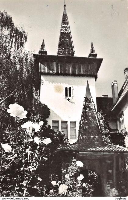 SFINTU GHEORGHE      MUZEUL