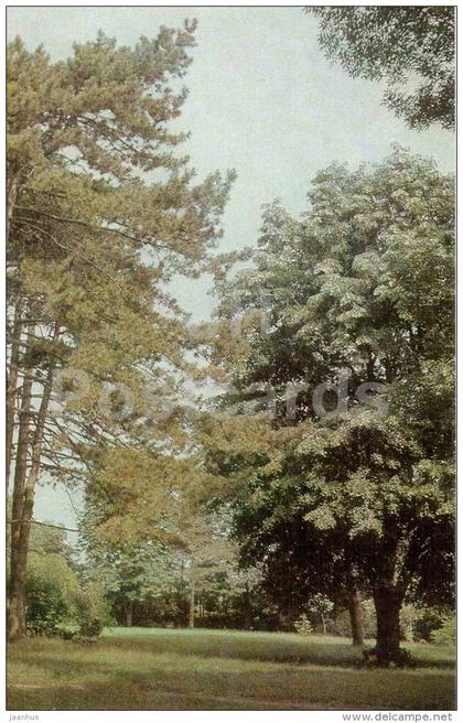 village of Tsaul - Views of Moldova - 1966 - Moldova USSR - unused