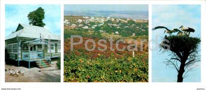 Villages in Moldova - birds - stork - 1985 - Moldova USSR - unused
