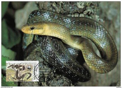 Moldavie : CM Carte Maximum WWF reptile serpent Elaphe longissima couleuvre esculape aesculapian snake askulapnatter