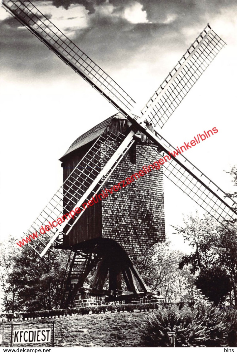 Molen - Diest