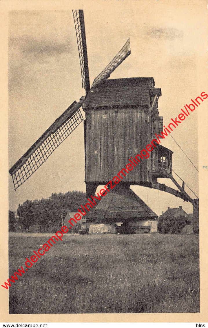 Molen Gestel-Dreef - Meerhout