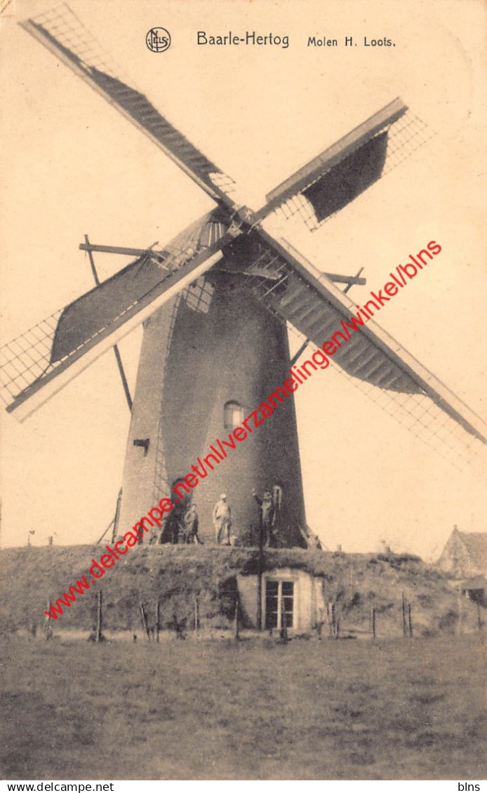 Molen H. Loots - Baarle-Hertog