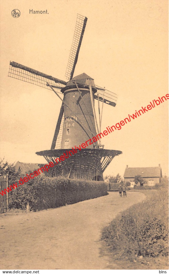 Molen - Hamont-Achel