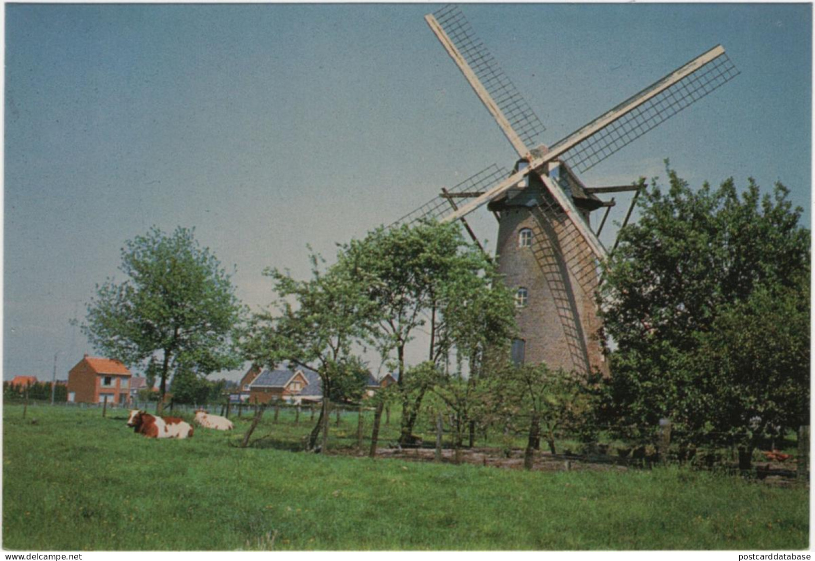 Molen - Malle-West - & windmill