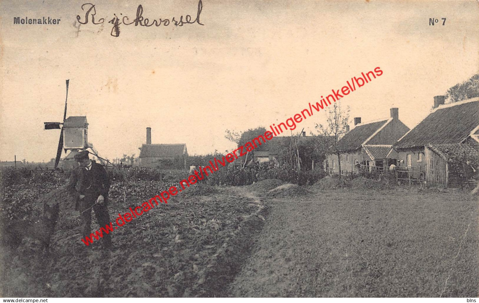 Molenakker - Rijkevorsel