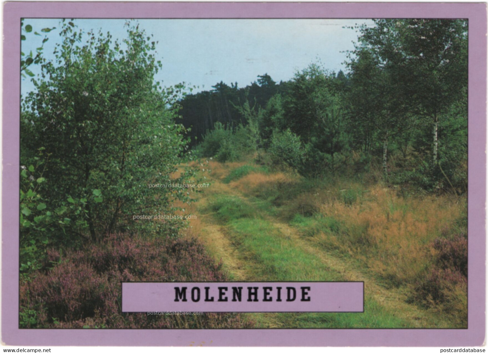 Molenheide