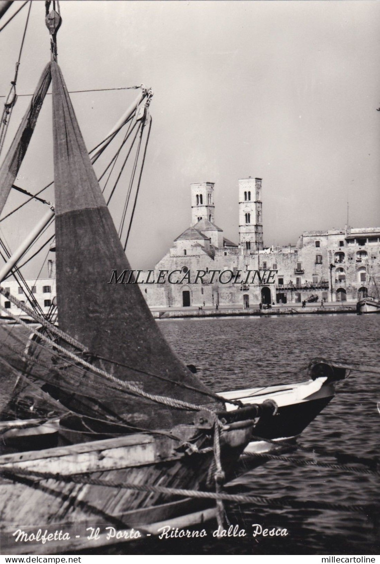 MOLFETTA: Il Porto - ritorno dalla pesca
