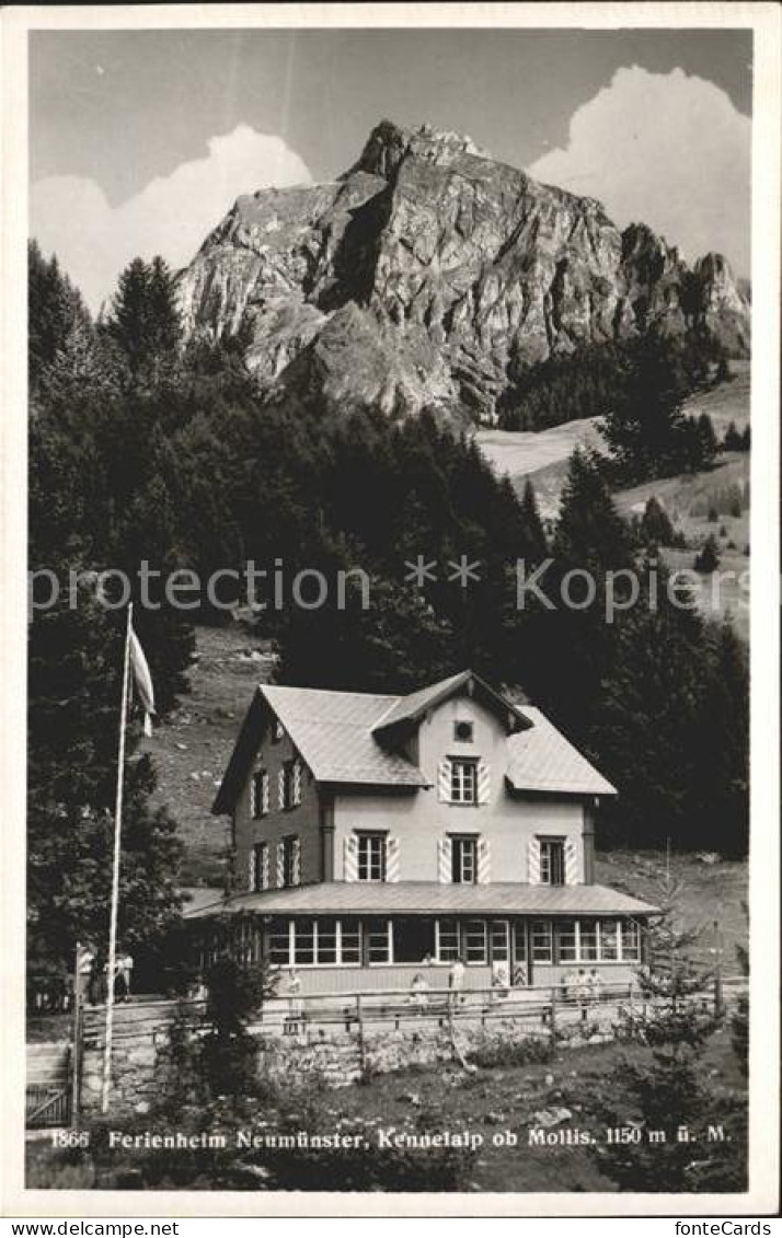 Mollis Ferienheim Neumuenster Kennelalp