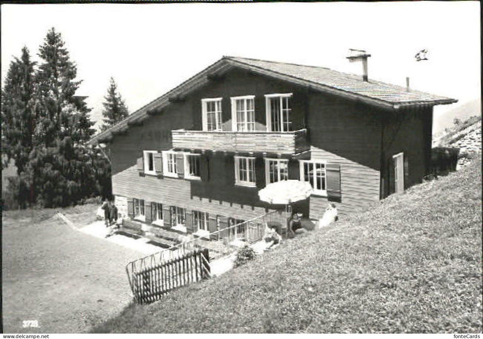 Mollis Mullern-Mollis  x 1977