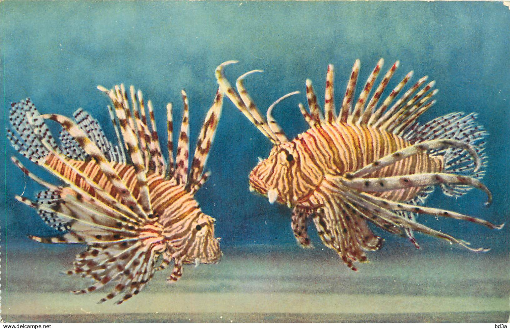 MONACO  AQUARIUM