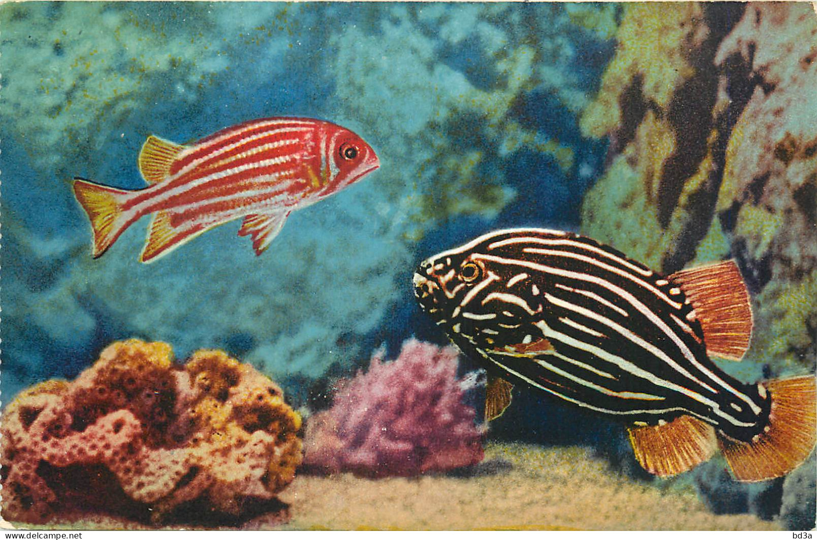 MONACO  AQUARIUM