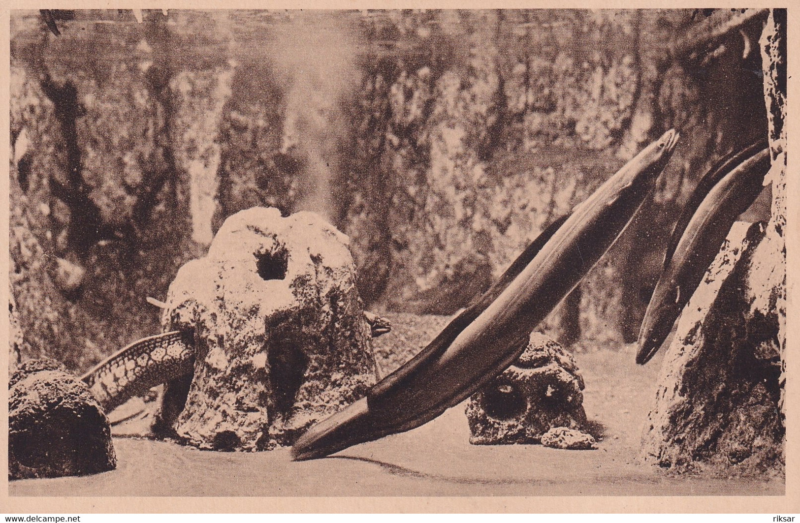 MONACO(AQUARIUM) POISSON