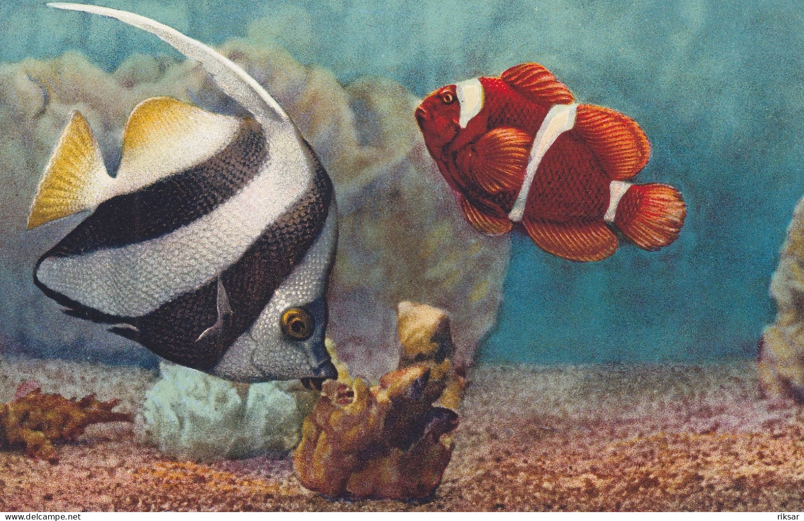 MONACO(AQUARIUM) POISSON