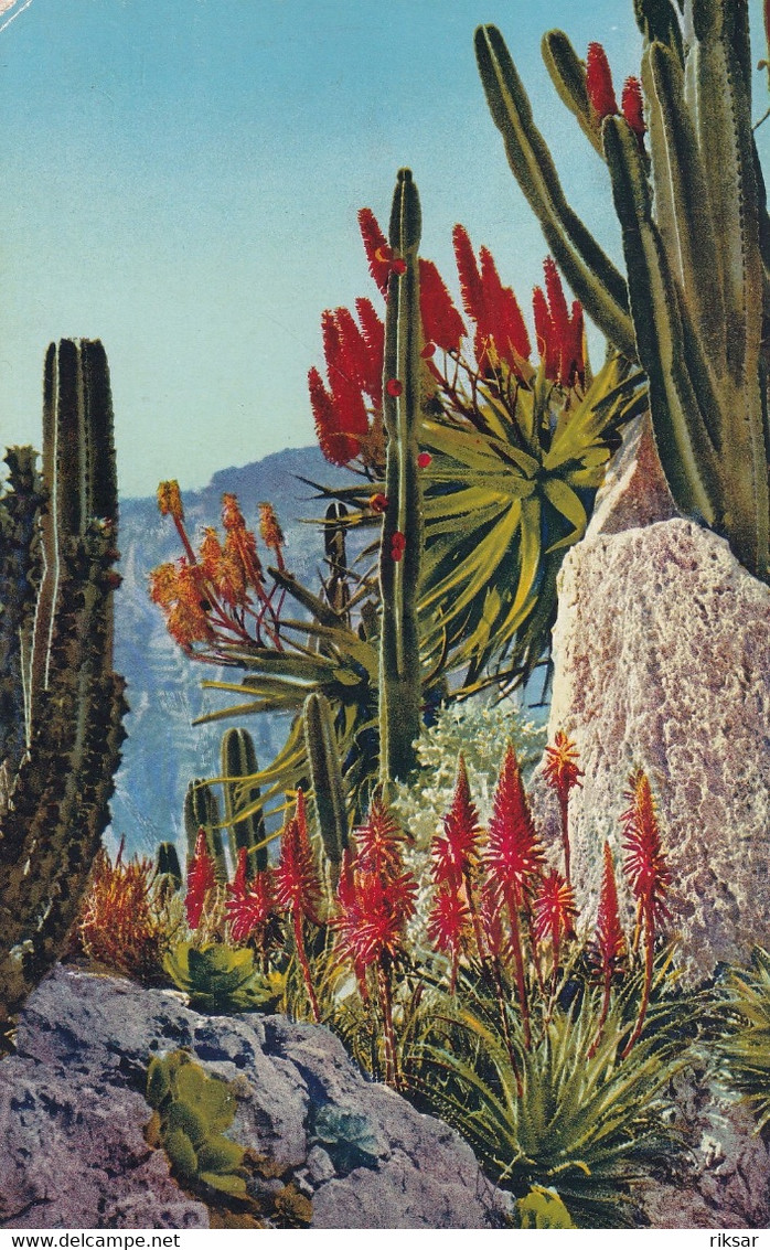 MONACO(ARBRE) CACTUS